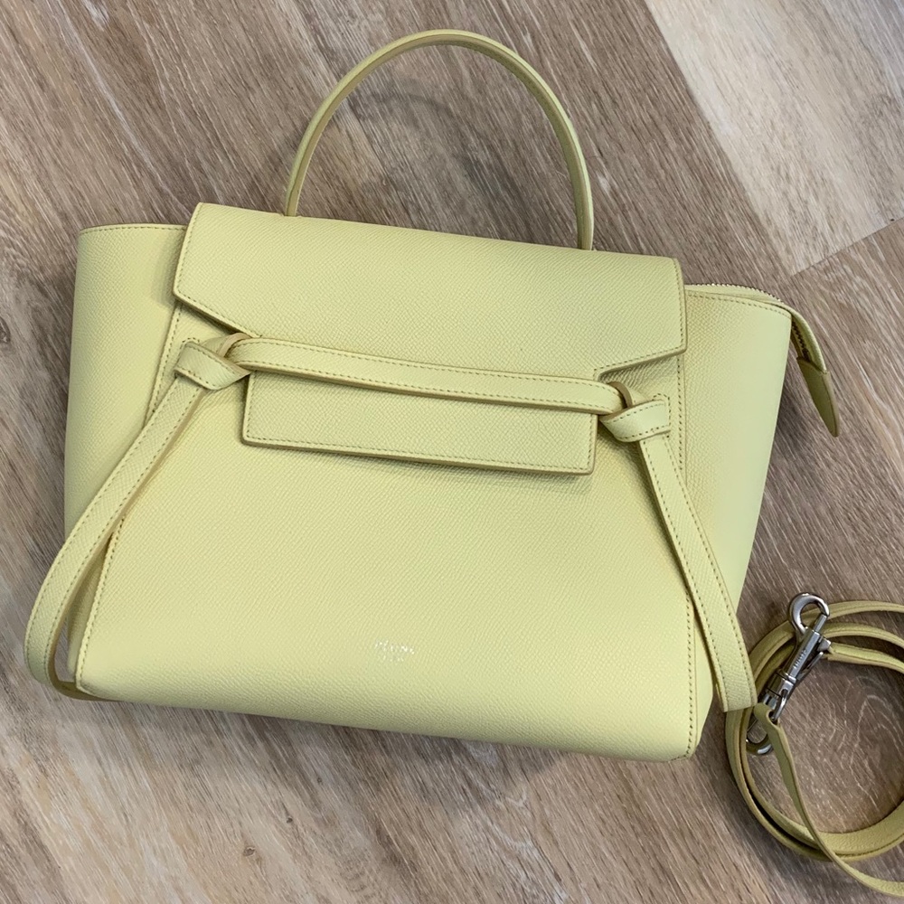 Celine Belt Bag Micro - Bergamote
